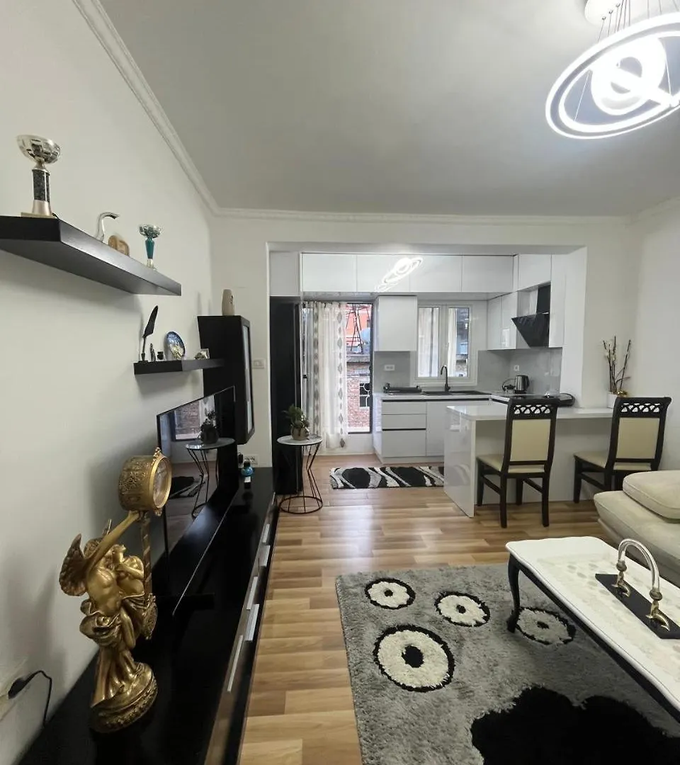 Apartamento Flat In Berat'S Center 0*, Berat